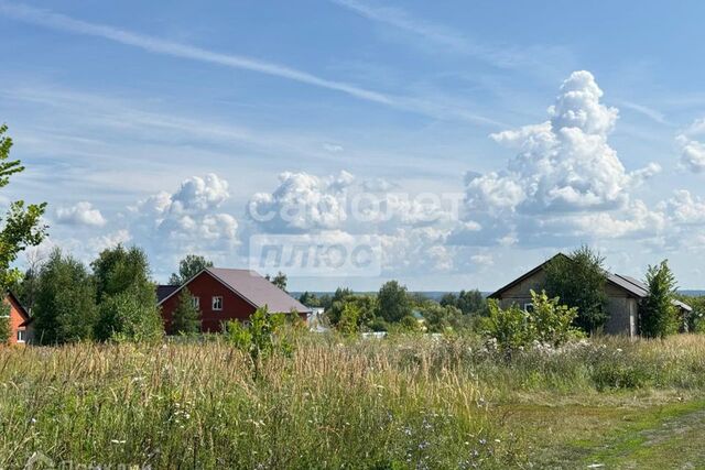 село Бессоновка фото