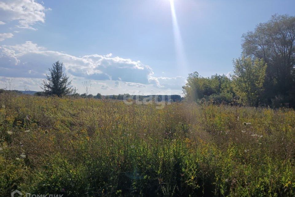 земля р-н Валуйский село Шелаево фото 4