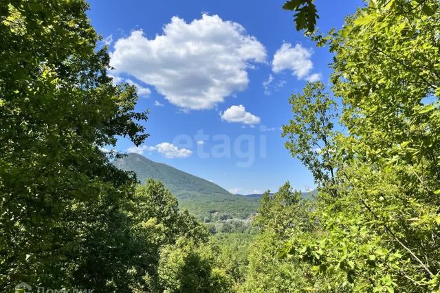 муниципальное образование Геленджик, ДНТ Океан фото