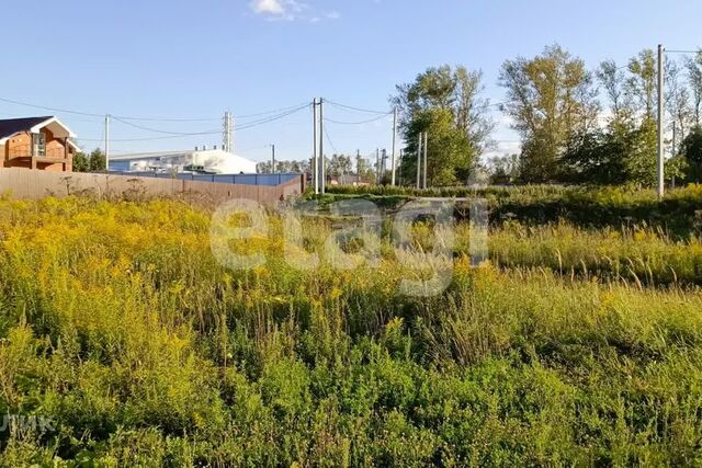 Тула городской округ, Архангельское фото