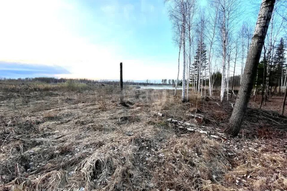 земля р-н Нижнетавдинский снт Геолог-2 фото 4