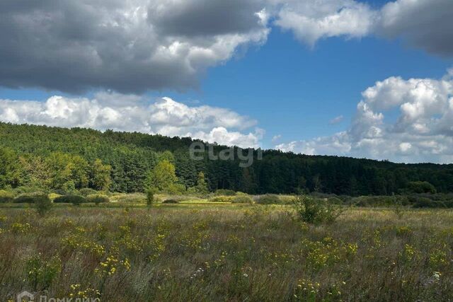 р-н Тамбовский село Козьмодемьяновка Лысогорский сельсовет фото