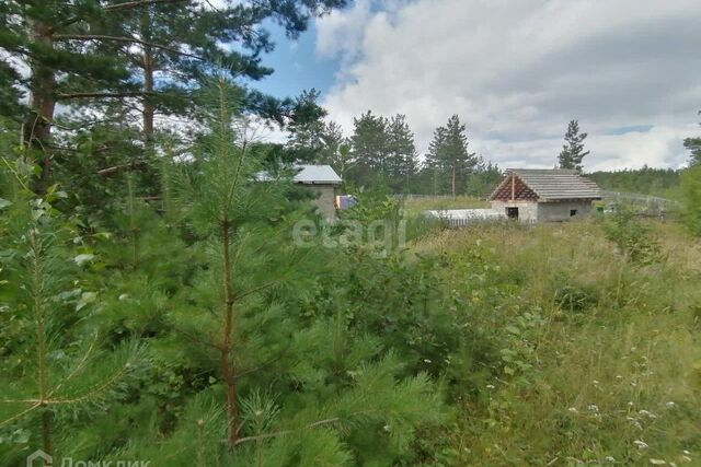 Кыштымский городской округ, СНТ Дальняя Дача фото