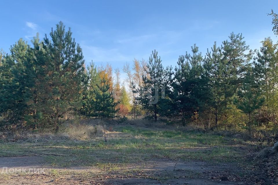 земля г Воронеж р-н Железнодорожный городской округ Воронеж, СНТ Большая Семья фото 1