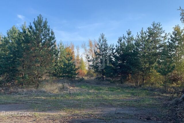 городской округ Воронеж, СНТ Большая Семья фото