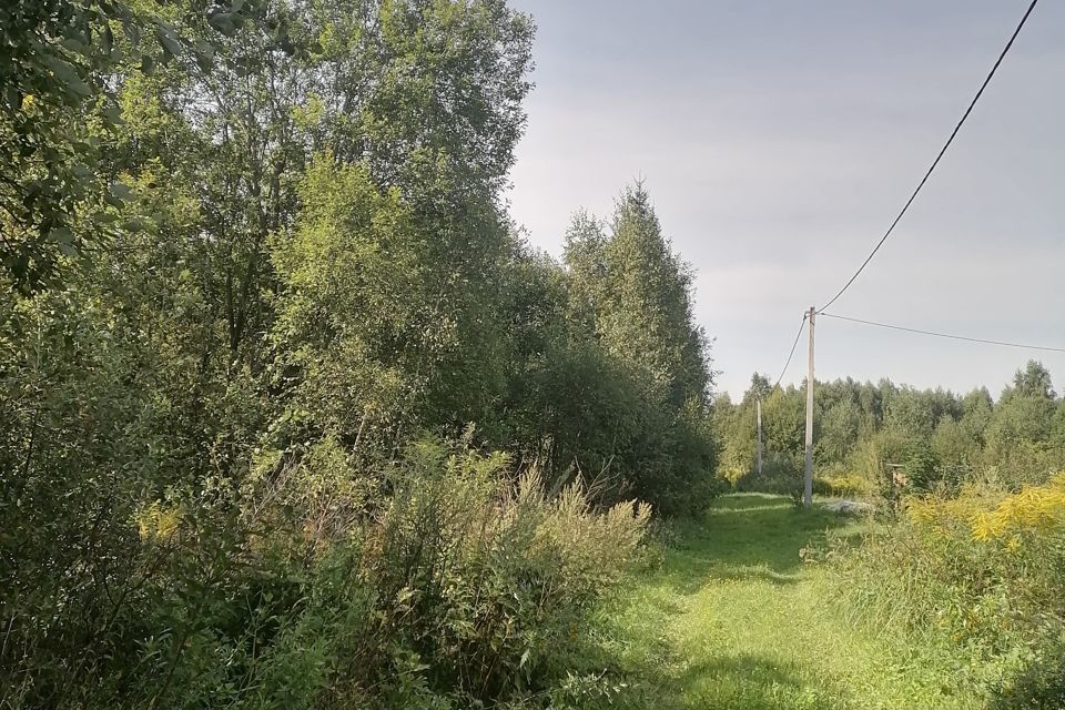 земля р-н Бабынинский деревня Ленское фото 3