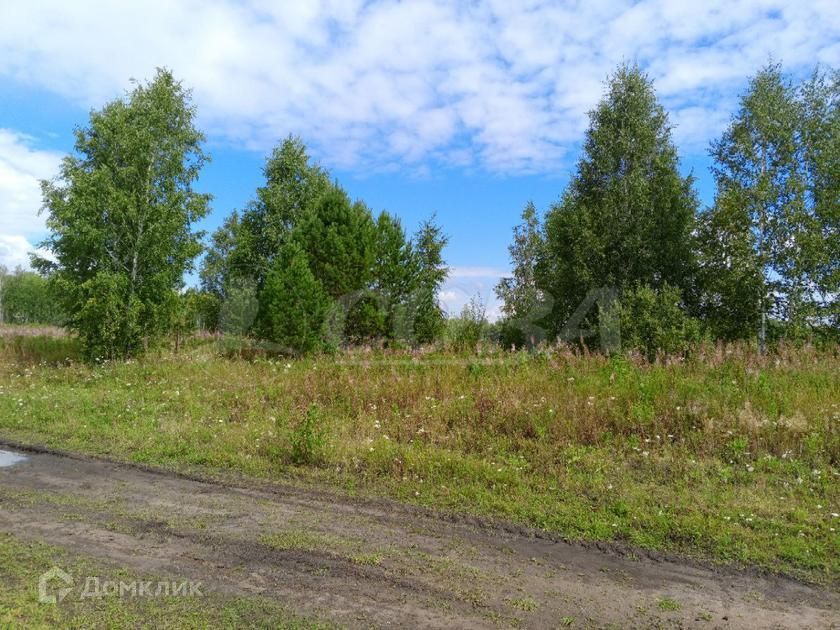 земля р-н Тюменский село Каменка фото 1