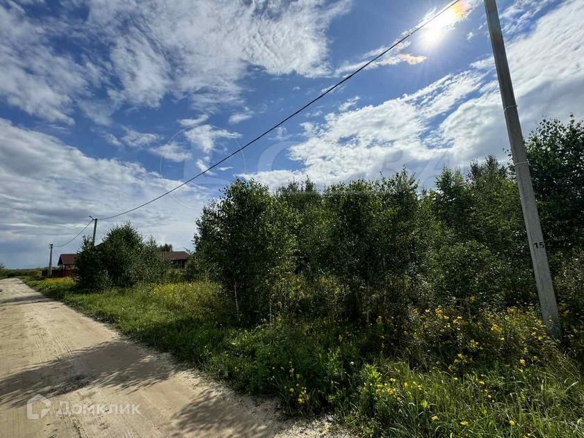 земля р-н Тюменский д Есаулова Родниковая фото 3