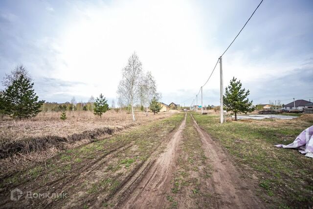 городской округ Бердск, некоммерческое товарищество садоводов Мечта-2 фото