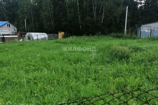 земля р-н Октябрьский ул Луговая городской округ Новосибирск фото