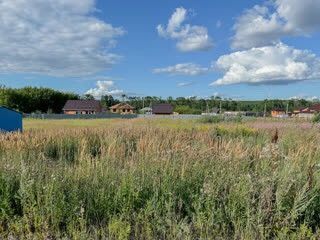 г Саранск п Добровольный ул Лесная городской округ Саранск фото