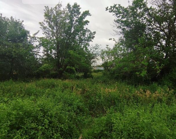 р-н Советский снт Авангард-1 городской округ Астрахань, Клубничная фото