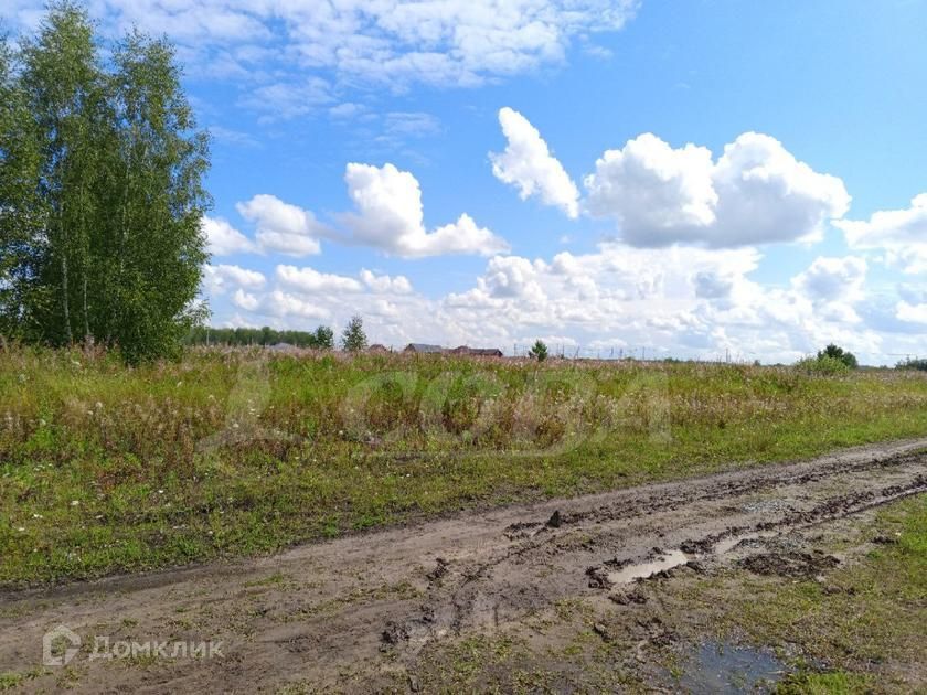 земля р-н Тюменский село Каменка фото 2