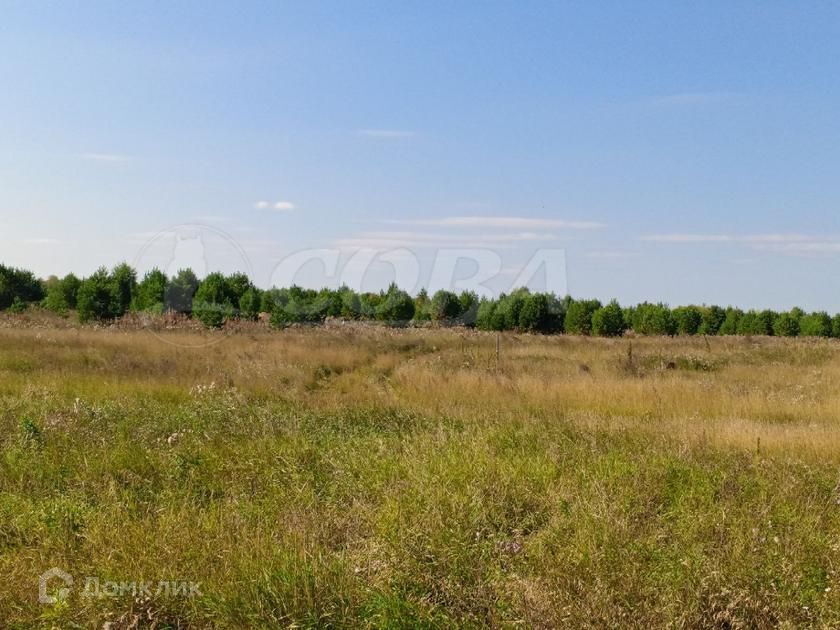 земля р-н Тюменский ДПК Новокаменский, Коттеджный посёлок Новокаменский фото 3