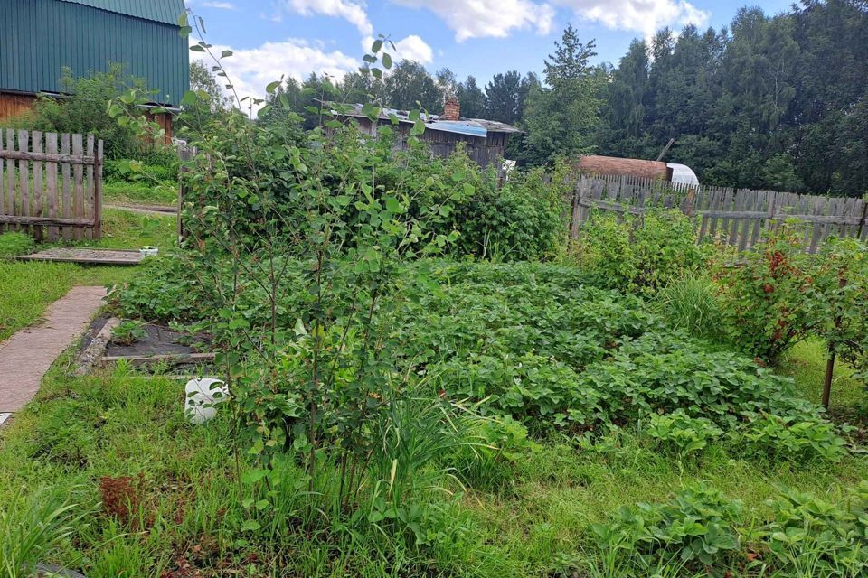 дом р-н Асиновский п Светлый городской округ Томск, СНТ Урожай фото 3