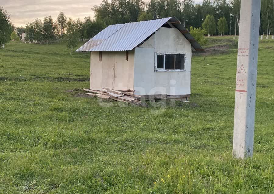 земля р-н Новосибирский село Раздольное фото 2