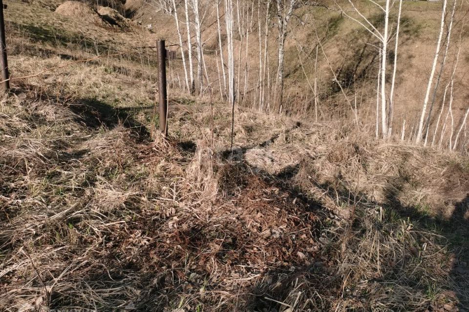 земля г Новосибирск р-н Дзержинский Дзержинский, городской округ Новосибирск фото 4