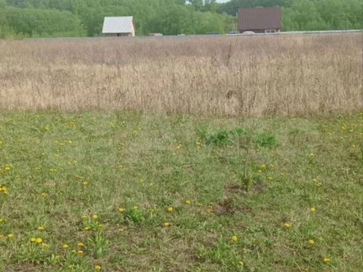 земля г Саранск п Добровольный ул Лесная городской округ Саранск фото 3