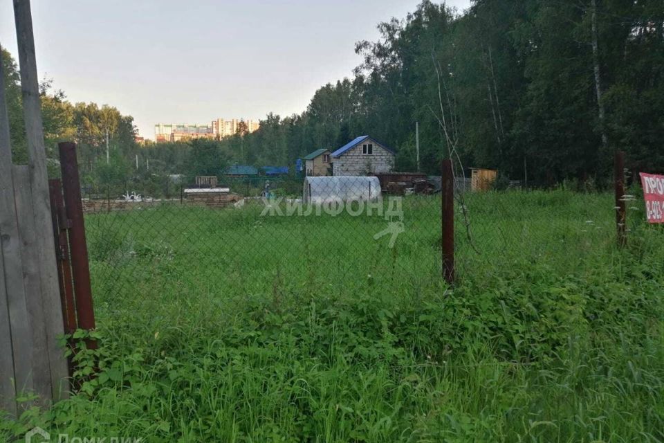 земля г Новосибирск р-н Октябрьский ул Луговая городской округ Новосибирск фото 2