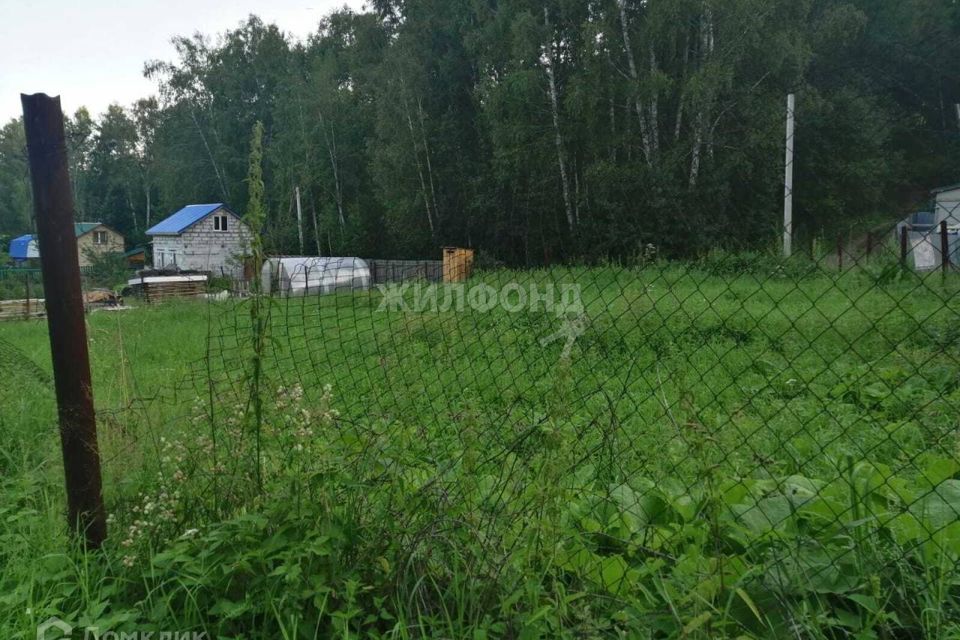 земля г Новосибирск р-н Октябрьский ул Луговая городской округ Новосибирск фото 3