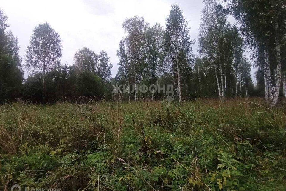 земля г Новосибирск ул Каменский Тракт Тракт, городской округ Новосибирск фото 4