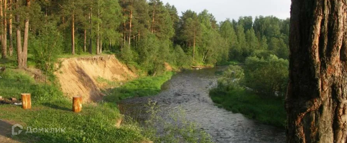 земля р-н Вологодский Никулино Кубенское сп фото 1