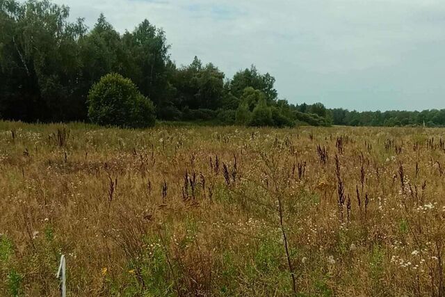 земля р-н Боровский фото