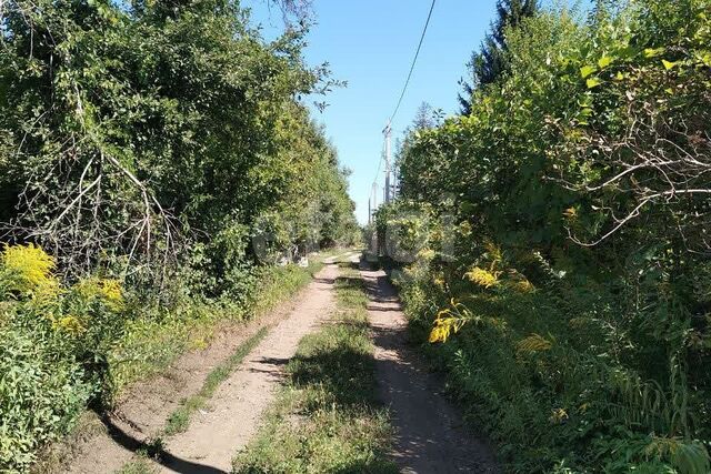 земля городской округ Воронеж, СНТ Коминтерновец-1 фото