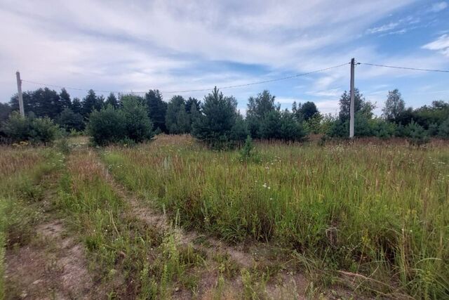 ул Борихино Поле городской округ Тверь фото