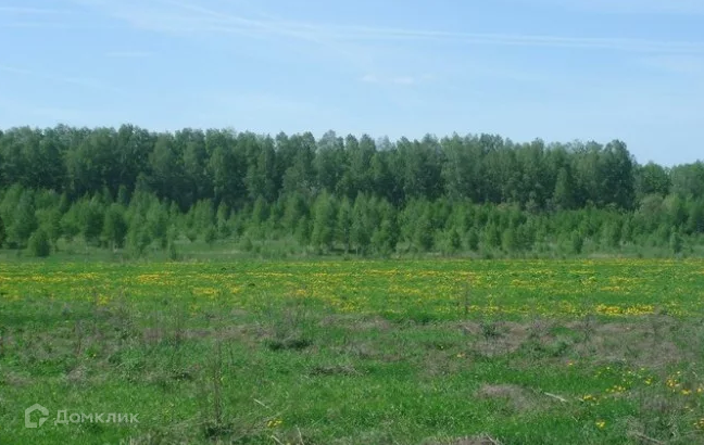 земля р-н Вологодский Никулино Кубенское сп фото 2