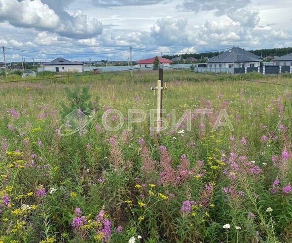 р-н Тюменский село Каменка фото