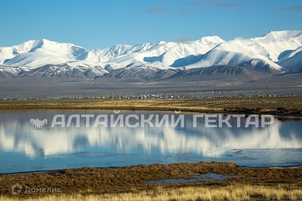 земля р-н Кош-Агачский село Кош-Агач фото 1