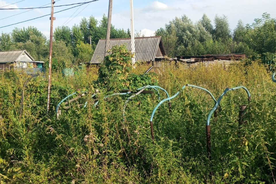 земля г Новосибирск р-н Ленинский сад снт Зеленый сад, 68, городской округ Новосибирск фото 2