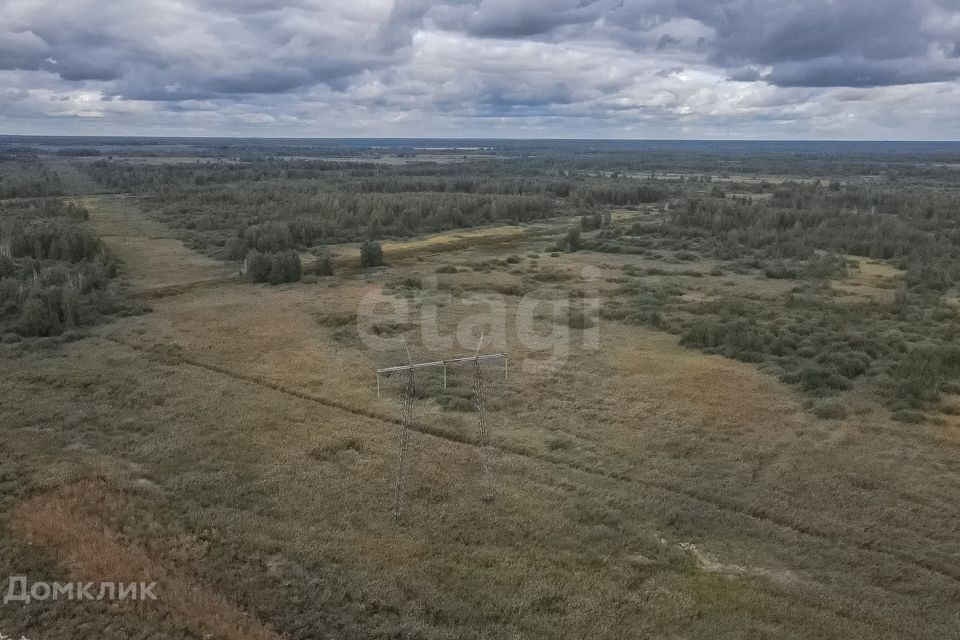 земля г Тюмень городской округ Тюмень, Исторический центр Тюмени фото 8