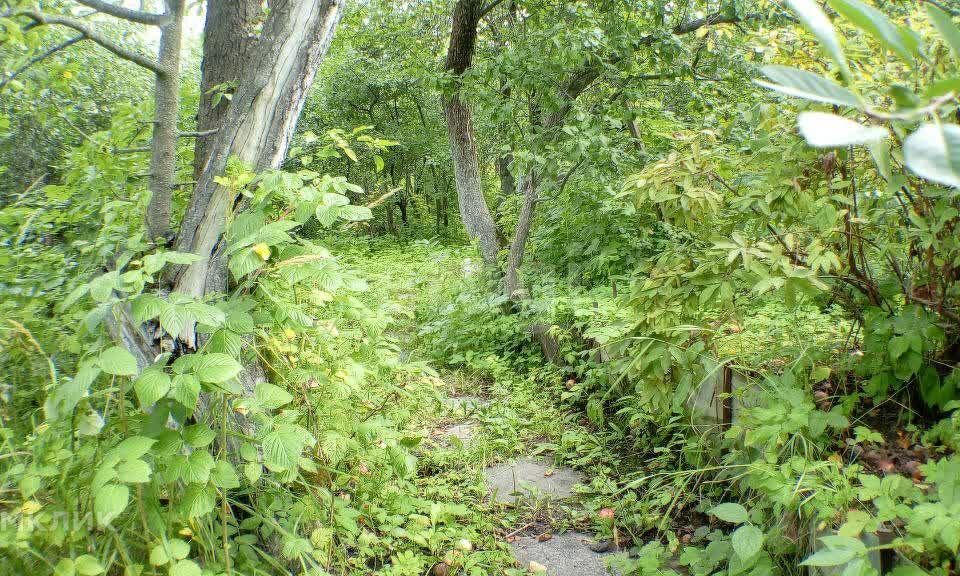 земля г Нижний Новгород городской округ Нижний Новгород, СТ Маяк фото 10