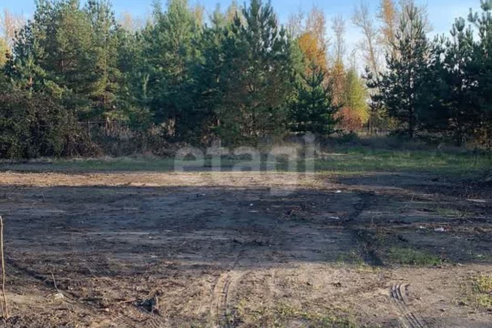 земля г Воронеж р-н Железнодорожный городской округ Воронеж, СНТ Большая Семья фото 8