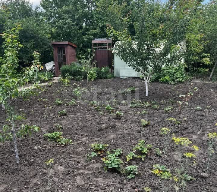 дом р-н Яковлевский СО Родничок фото 5