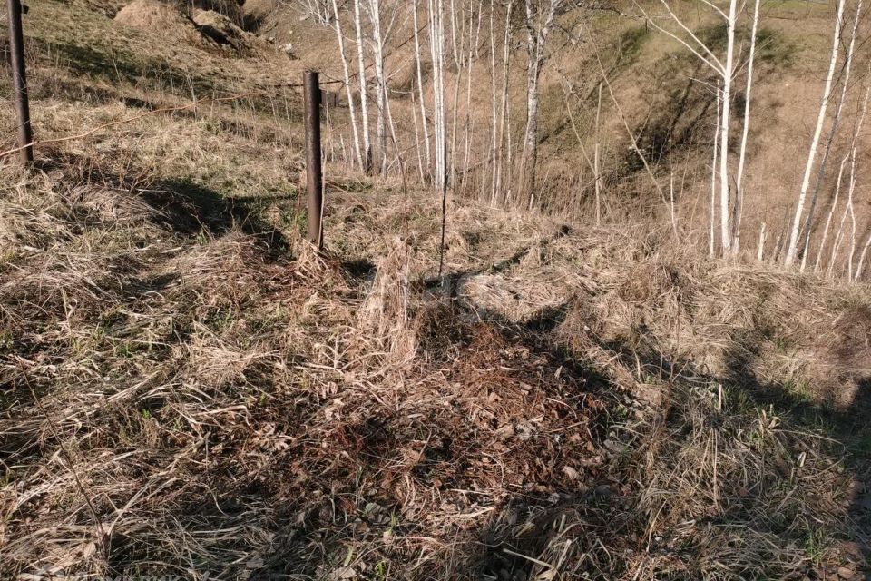 земля г Новосибирск р-н Дзержинский Дзержинский, городской округ Новосибирск фото 5