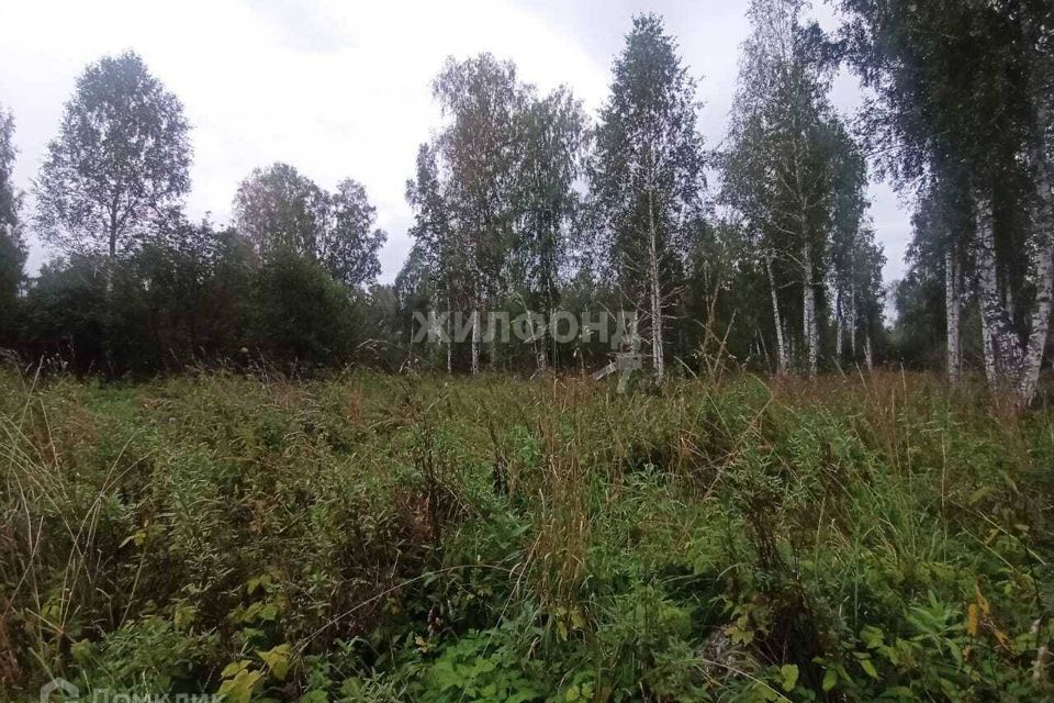 земля г Новосибирск ул Каменский Тракт Тракт, городской округ Новосибирск фото 5