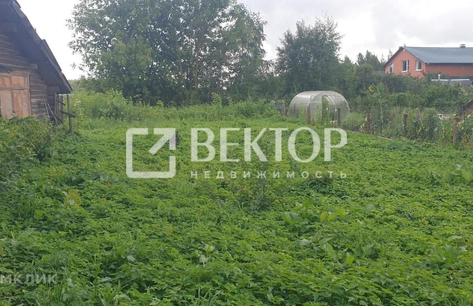 земля р-н Костромской село Шунга фото 5