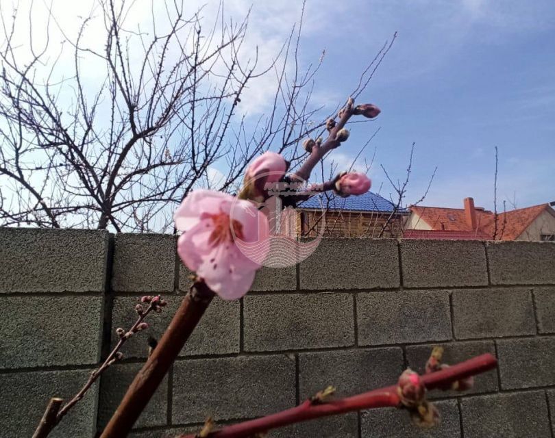 дом г Севастополь п Кача Нахимовский район, дачное некоммерческое товарищество Арзу фото 5