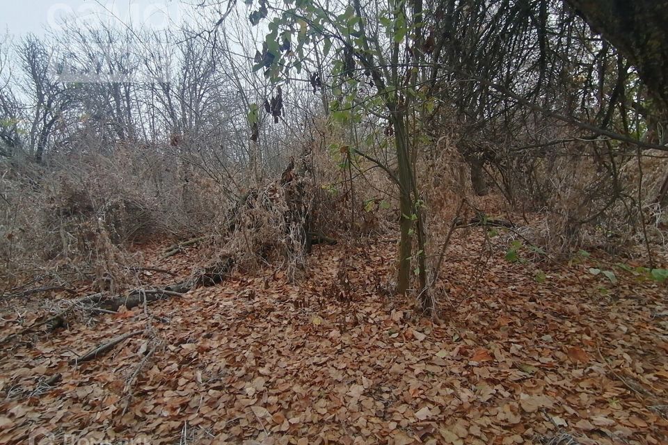 земля г Астрахань р-н Ленинский снт Дружба городской округ Астрахань, Ленинский район, 23 фото 8