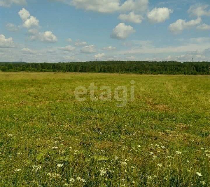 земля г Нижний Тагил р-н Ленинский городской округ Нижний Тагил, микрорайон Горбуново фото 5