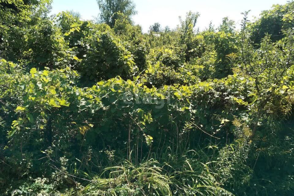 земля г Воронеж р-н Советский городской округ Воронеж, СНТ Коминтерновец-1 фото 8