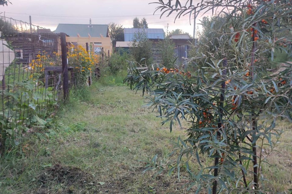 земля городской округ Барнаул, СНТ Колос фото 8