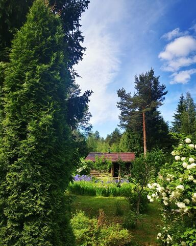 земля Трасса Сортавала, 9774 км, Раздольевское сельское поселение, Сосново фото