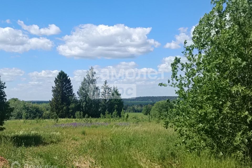 земля р-н Завьяловский д Шудья Творческая фото 3