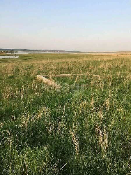 земля р-н Чебаркульский д Нижние Караси ул Совхозная фото 4