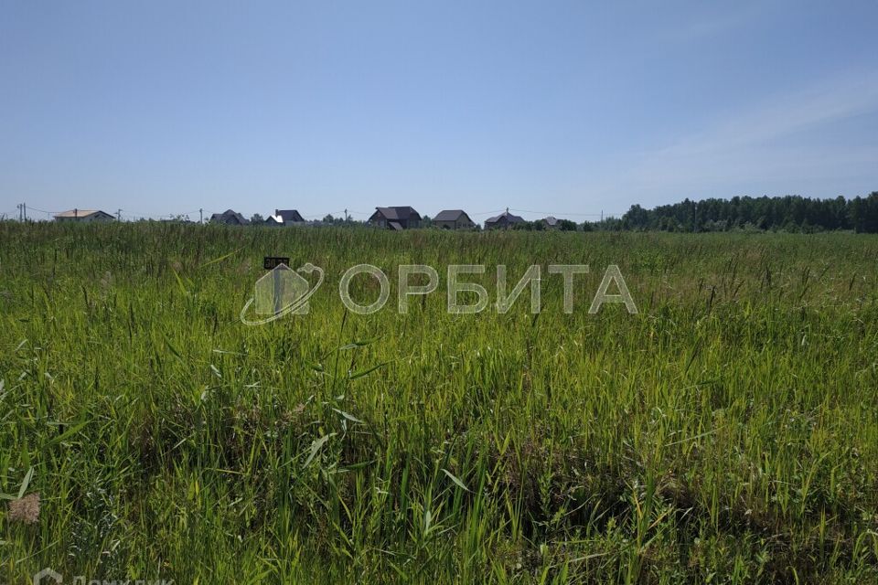 земля городской округ Тюмень, НСТ Сосновая Поляна фото 3