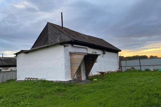 р-н Мариинский д Раевка ул Центральная Кемеровская область — Кузбасс фото